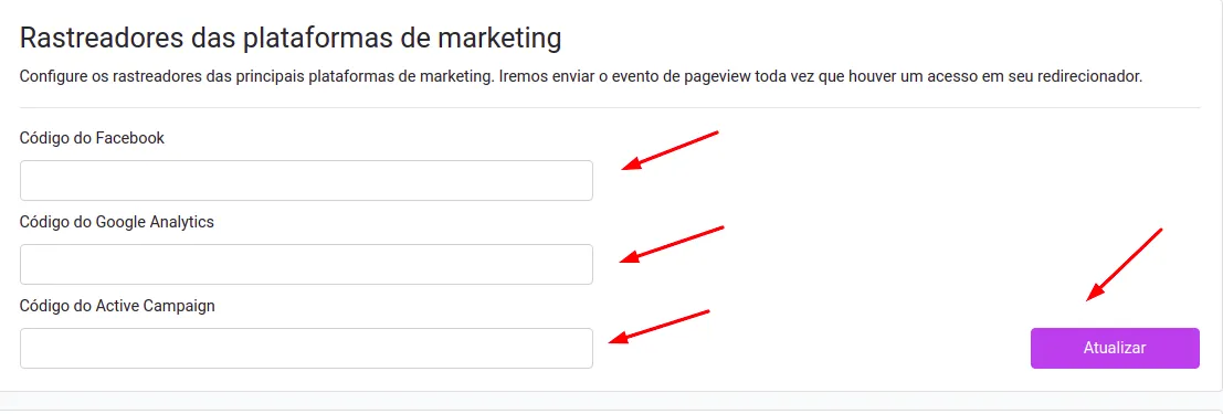 Campos de configuração de Pixel e GA4 no painel